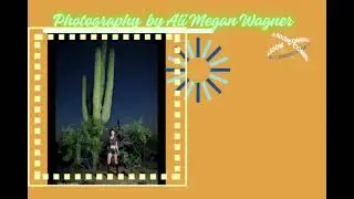 Ali Megan Wagner