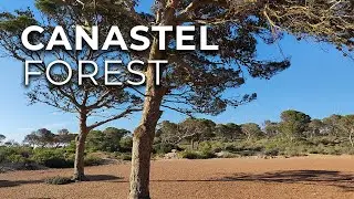 Oran Algeria 2024 - Canastel Forest (For&ecirc;t de Canastel)