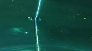 Tanks Spray ball Coverage Test 1