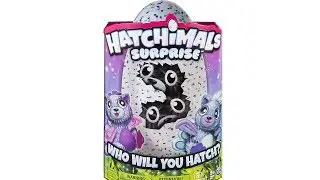Hatchimals Surprise Peacat Twins Surprise Egg Unboxing Toy Review