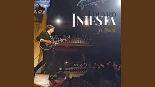 Trajecte Animal (Live)