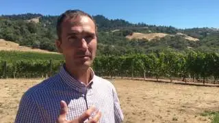 Anderson Valley winemaking