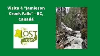 Jamieson Creek Falls - BC, Canada