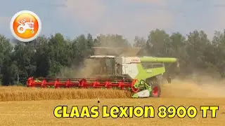 Harvest 2025 | Claas Lexion 8900 TT combine & Convio 1230 header