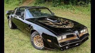 The Pony Cars - Classic American Muscle Cars