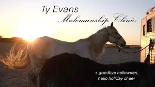 Ty Evans Mulemanship Clinic // Hello Holiday Cheer