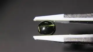 Rare Aegirine-Augite Cat's-Eye cabochon.  RAVG54
