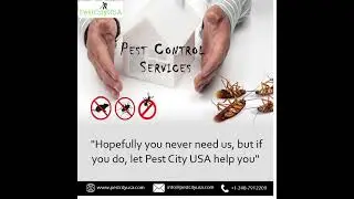 Pest City USA