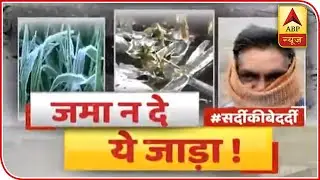 Watch: Minimum Temperature Falls Below Zero In Many Cities Of Rajasthan | ABP News
