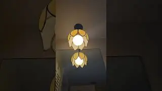 Switches in my new house 🏠 