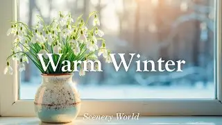 Warm & Cozy Winter Piano Music for Cold Days - Warm Winter | Scenery World