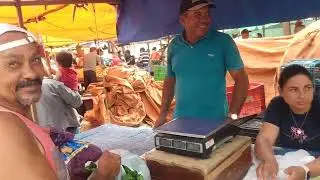 Parte/ 01 Domingo na feira livre de Nova Floresta-PB 19/11/2023
