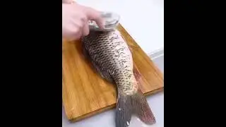 Amazing fish🐠🐠 cleaning gadgets tools #gadgets