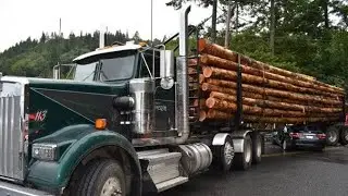 LOGGING SEASON IS HERE