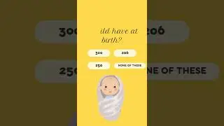 How many bones does a child have at birth??