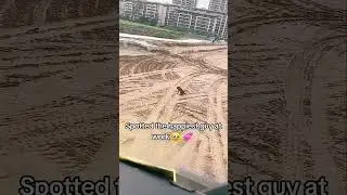 The Most Happy Dog #happydogshort  #edittext  #animals 😆😁😎