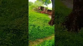 tumse milana baate karna#hindi#sortvarl#video