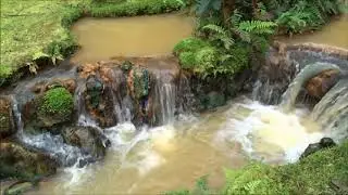Parque Terra Nostra