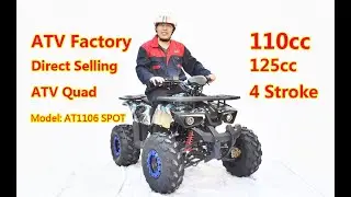 110cc, 125cc ATV Quad Bike with Front and Rear Cargo Rack