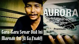 Review AURORA STrings |Pemain Oud Wajib KEPO‼️