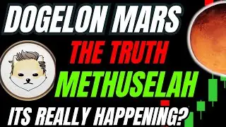 DOGELON MARS UPDATE The Methuselah Foundation Move Is Happening RIGHT NOW! Next Stop&hellip; MARS