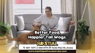 ✨ 2026 Resolution: Healthy and Happy Pets in Aruba 🐶🐱 | Bestial x Purina