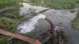lubi monoblock water pump
