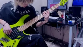 Kanzenkankaku dreamer (完全感覚Dreamer) / ONE OK ROCK Bass cover by Eguru