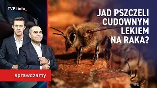Jad pszczeli cudownym lekiem na raka? | SPRAWDZAMY