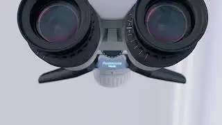 EXTARO 300 MICROSC&Oacute;PIO ZEISS: Os principais detalhes