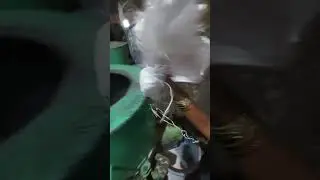 Plastic recycling ( PP Raffia waste- Agglomeration process)
