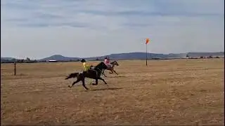Traditional horse racing Dundee july_20/07/2024