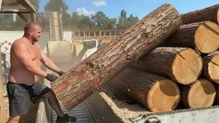 Best Summer Wood Chips Production Highlights.
