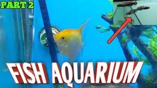 😱 Deadliest Fishes in Aquarium | Beautiful Fish Aquarium In Tamilnadu | GENEPOOL ECO PARK | Part 2 