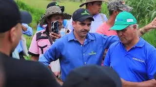 Proyecto colectivo de ganader&iacute;a multiprop&oacute;sito