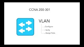 VLAN, настройка и проверка порта доступа | Команда диапазона интерфейса | БЕСПЛАТНО CCNA 200-301