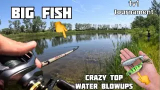 1v1 to catch the most fish crazy top water blowups￼￼