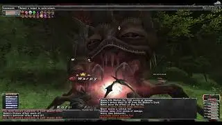 FFXI: Voidwatch #8 - Zilart Path - Tier 2