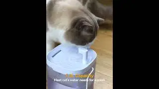 Smart Cat Water Fountain