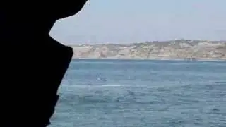 Views from the bottom of Sunny Jim Cave La Jolla