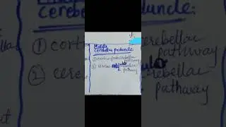 Fibres passing through inferior,middle, superior peduncle Diagrams of posterior, anterior spinocereb