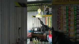 wobbly mini ceiling 