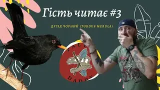 Дрізд чорний (Turdus merula) - такий звичний і загадковий. Гість читає #3 (feat Вадим Яненко)