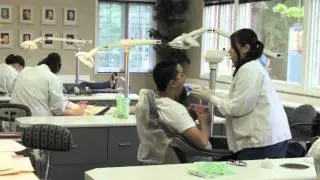 Dr. Dan O'Brien, Pediatric Dentist and Orthodontist in Renton & Kent, Washington