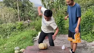 27Kg Pumpkin Challenge (Pharsi)🎃 | Dipesh Twenty4