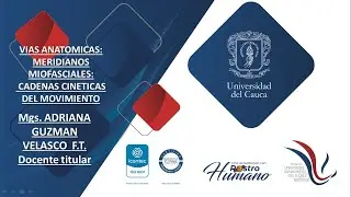 CADENAS CINÉTICAS CONCEPTO DE MOVIMIENTO