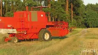 Bizon Super Z056 i rzadki okaz - bordowy Bizon Rekord Z058; odjeżdżają ze skoszonych p&oacute;l.