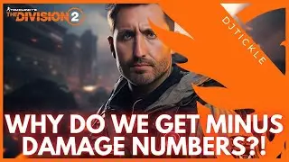 WHY DO WE GET MINUS DAMAGE NUMBERS ON THE STATS PAGE?! #thedivision2