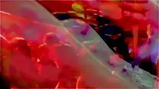WERZ - Max Sheridan