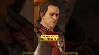 The Knights Of The Flaming Rose - The Witcher 3